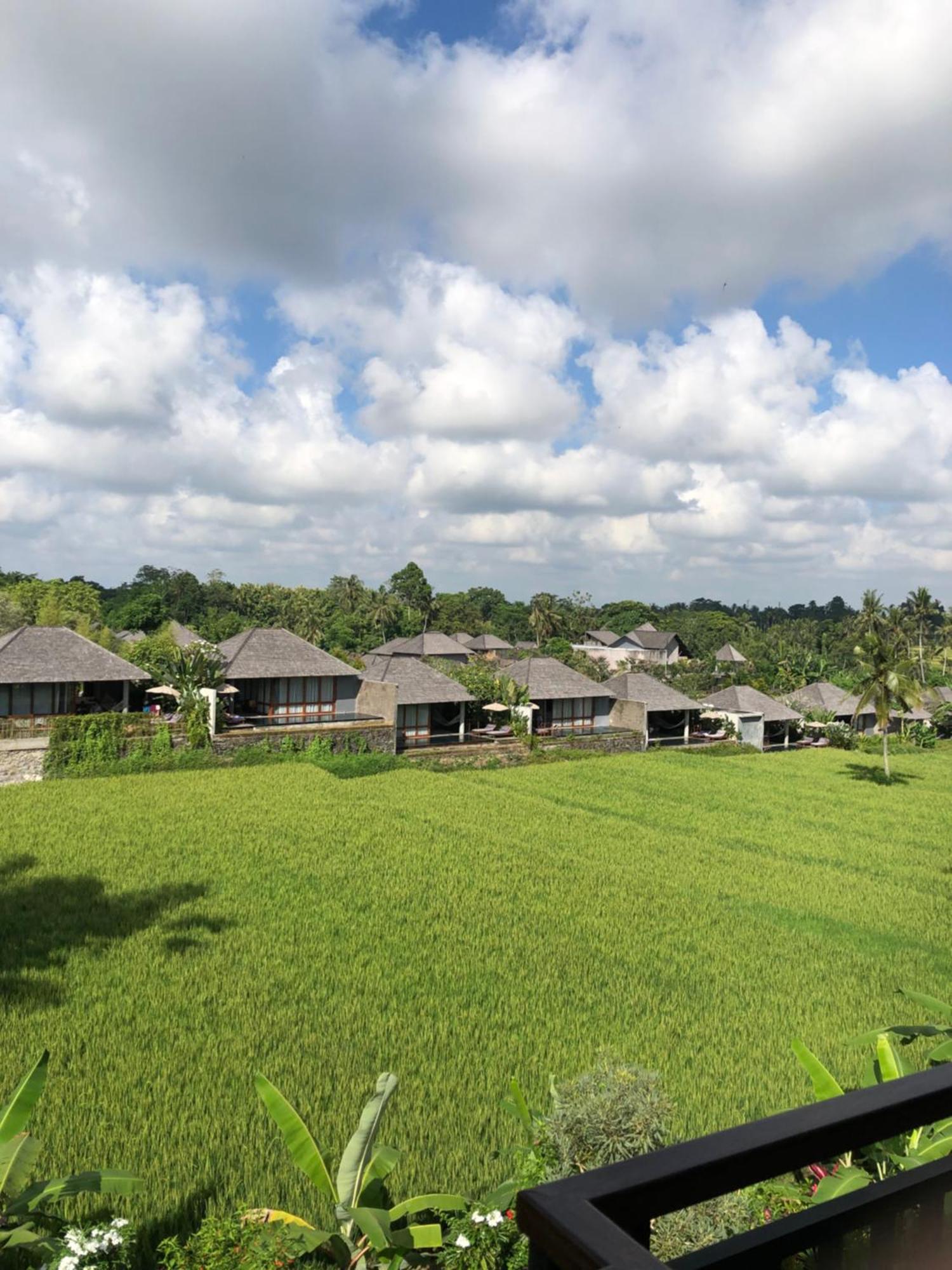 Mira Family Cottages 우붓 외부 사진